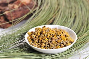 霍山鐵皮石斛楓斗 天然美容養(yǎng)顏的瑰寶