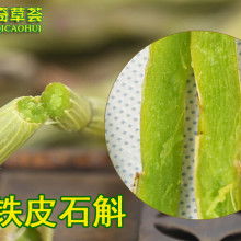 杭州榮誼鐵皮石斛合作社 專注石斛產(chǎn)業(yè)，鑄就健康珍品