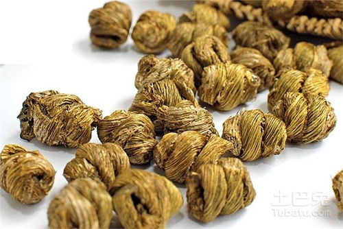 鐵皮楓斗怎么吃？詳解鐵皮楓斗的多種吃法與功效